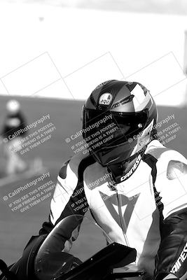 media/Mar-13-2022-SoCal Trackdays (Sun) [[112cf61d7e]]/Around the Pits/